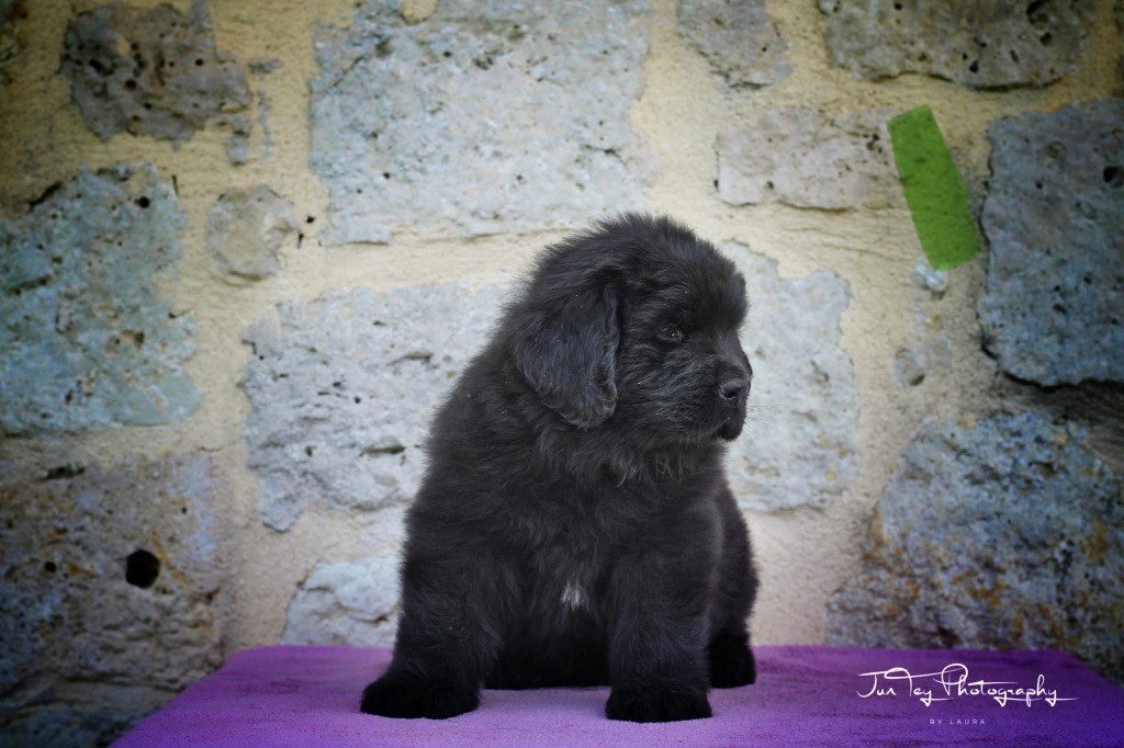 Nouvelles photos !!!