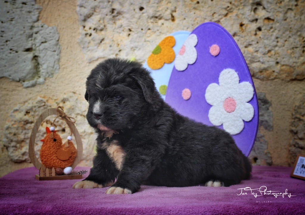 Nouvelles photos 